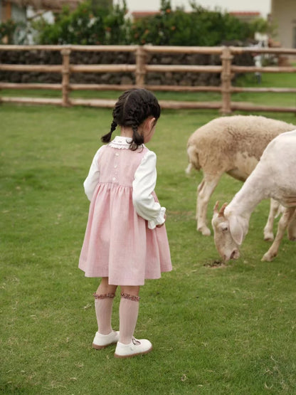 Hand-Embroidered Cotton Sleeveless A-Line Dress