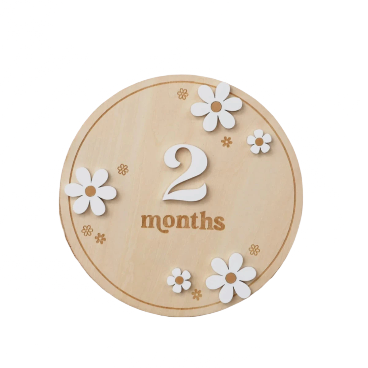 White Daisy Baby Milestone Wooden Photo Prop